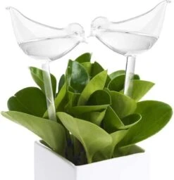 Luxe Planten Waterdruppelaar - Waterbol Vogel - Watergever - Watergeefsysteem Voor Planten & Bloemen - 200ML - Set Van 2 7 Luxe Planten Waterdruppelaar - Waterbol Vogel - Watergever - Watergeefsysteem Voor Planten & Bloemen - 200ML - Set Van 2 -Tuingereedschap Winkel 1160x1200