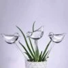 Waterdruppelaar Planten - Vorm Vogel - Set Van 3 Kunststof Druppelaars - 25cm Lengte - Genoeg Water Tijdens Je Vakantie -Tuingereedschap Winkel 1187x1200 2