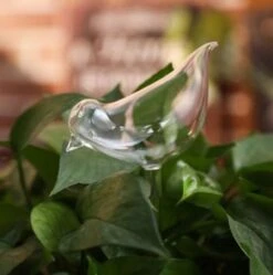 Waterdruppelaar Planten - Vorm Vogel - Set Van 3 Kunststof Druppelaars - 25cm Lengte - Genoeg Water Tijdens Je Vakantie -Tuingereedschap Winkel 1190x1200 2