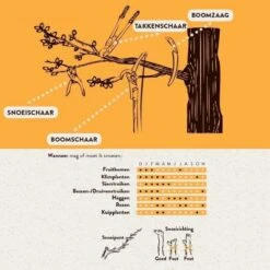 Hendrik Jan - Takkenschaar - Aluminium - Aambeeld - 62 Cm -Tuingereedschap Winkel 1198x1200