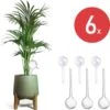Merkloos JADI - Druppelsysteem - Waterdruppelaar Voor Uw Planten - Set Van 6 Stuks - 3 Grote & 3 Kleine - Transparante Waterbollen 1 Merkloos JADI - Druppelsysteem - Waterdruppelaar Voor Uw Planten - Set Van 6 Stuks - 3 Grote & 3 Kleine - Transparante Waterbollen -Tuingereedschap Winkel 1198x1200 9