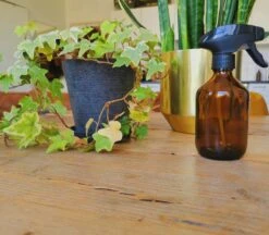 24DOTS Living Plantenspuit | 300 Ml Bruin Amber Glas | Plantensproeier | Plantenspuit Binnen | Waterverstuiver | Vernevelaar -Tuingereedschap Winkel 1200x1051