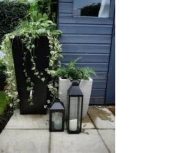 Prestige Manhattan 100L Regenton Zwart (incl. Kraantje) -Tuingereedschap Winkel 1200x1083 2