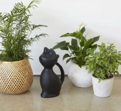 Balvi Meow! Kat Gieter - Zwart -Tuingereedschap Winkel 1200x1103 1