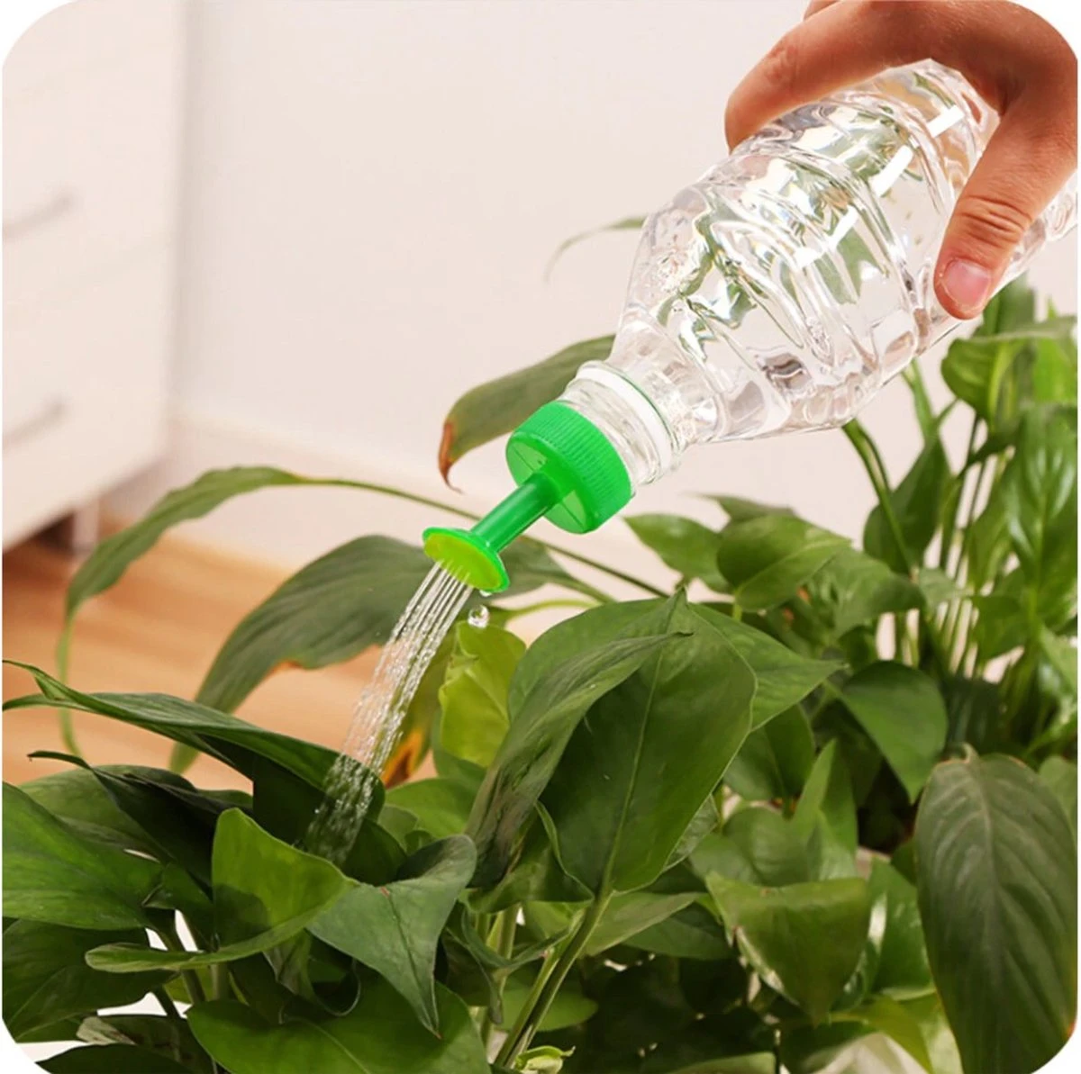 Flesgieter Dop - Fles Plantenspuit - Flessebroes - Broeskop - Fles Gieter - Water Geven - Flesdop - Groen 3 Flesgieter Dop - Fles Plantenspuit - Flessebroes - Broeskop - Fles Gieter - Water Geven - Flesdop - Groen