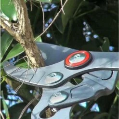 WOLF-Garten Takkenschaar POWER CUT RR*** 900 T - Lengte 650-900mm - Telescoop - Aluminium Hefboomarmen - 4x Meer Kracht - Messpanning Instelbaar -Tuingereedschap Winkel 1200x1194