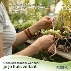 Waterdruppelaar Voor Planten - Irrigatiesysteem- Waterbol - Druppelsysteem - Watergeefsysteem Voor Kamerplanten - Plantenwatergever -6 Stuks - Transparant -Tuingereedschap Winkel 1200x1198 12