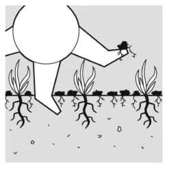 GARDENA EVC 1000 Verticuteermachine - Werkbreedte 30 Cm - Werkgebied 600m2 -Tuingereedschap Winkel 1200x1200 1010