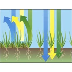 GARDENA EVC 1000 Verticuteermachine - Werkbreedte 30 Cm - Werkgebied 600m2 -Tuingereedschap Winkel 1200x1200 1011