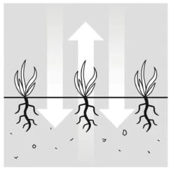 GARDENA EVC 1000 Verticuteermachine - Werkbreedte 30 Cm - Werkgebied 600m2 -Tuingereedschap Winkel 1200x1200 1012