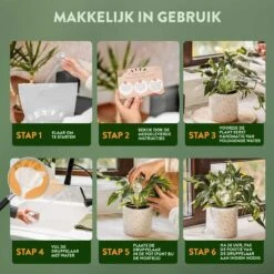 STFF & Co® Waterdruppelaar Voor Planten – Irrigatiesysteem Automatisch Watergeefsysteem – Waterbollen Voor Planten – Bewateringssysteem – 8 Stuks - 8cm 10 STFF & Co® Waterdruppelaar Voor Planten – Irrigatiesysteem Automatisch Watergeefsysteem – Waterbollen Voor Planten – Bewateringssysteem – 8 Stuks - 8cm -Tuingereedschap Winkel 1200x1200 349