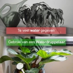 Waterdruppelaar Set Van 12 Stuks - Waterdruppelaar Voor Planten - Watergeefsysteem - Waterbol Irrigatiesysteem - Automatisch Druppelsysteem Voor Kamerplanten & Tuin - Watergever - Transparant - 15cm -Tuingereedschap Winkel 1200x1200 361