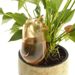 JS Drippy - Waterdruppelaars Set Van 2 Stuks - Druppelaar Vogel - Druppelsysteem Planten - Watergeefsysteem Kamerplanten - Waterbol - Roze -Tuingereedschap Winkel 1200x1200 363