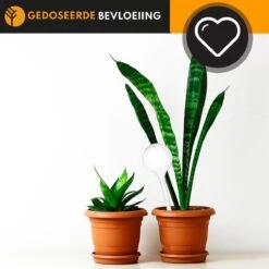 Waterdruppelaar Set Van 6 Stuks Voor Planten Transparant – 27 CM – Automatisch Watergeefsysteem Voor Kamerplanten – Planten Watergever Met Druppelsysteem – Waterbol -Tuingereedschap Winkel 1200x1200 370