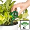 Merkloos Decopatent® 4 Stuks - Waterdruppelaar Voor Planten - Watergever - Glas - Waterbollen - Watergeefsysteem - Plantenbollen - Groen 1 Merkloos Decopatent® 4 Stuks - Waterdruppelaar Voor Planten - Watergever - Glas - Waterbollen - Watergeefsysteem - Plantenbollen - Groen -Tuingereedschap Winkel 1200x1200 381