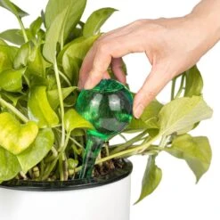 Merkloos Decopatent® 4 Stuks - Waterdruppelaar Voor Planten - Watergever - Glas - Waterbollen - Watergeefsysteem - Plantenbollen - Groen -Tuingereedschap Winkel 1200x1200 383