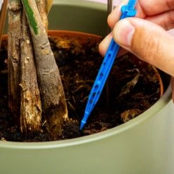 Woonaccessoires- Automatisch Watergeef Systeem | Plantenwaterer - Life Support Irrigatieapparaat | Druppelaar Kamerplanten - | Planten Watergever Met Druppelsysteem 350ml -Tuingereedschap Winkel 1200x1200 394