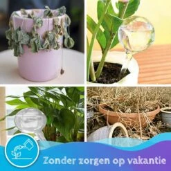 Summer Spark Waterdruppelaar Voor Planten 6 Stuks Transparant – 27 CM X 8 CM – 250 ML – Automatisch Watergeefsysteem Voor Kamerplanten – Planten Watergever Met Druppelsysteem – Waterbol -Tuingereedschap Winkel 1200x1200 404
