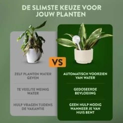 STFF & Co® Waterdruppelaar Voor Planten – Irrigatiesysteem Automatisch Watergeefsysteem – Waterbollen Voor Planten – Bewateringssysteem – 8 Stuks - 5cm 9 STFF & Co® Waterdruppelaar Voor Planten – Irrigatiesysteem Automatisch Watergeefsysteem – Waterbollen Voor Planten – Bewateringssysteem – 8 Stuks - 5cm -Tuingereedschap Winkel 1200x1200 409