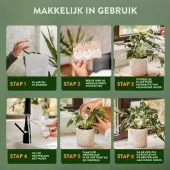 STFF & Co® Waterdruppelaar Voor Planten – Irrigatiesysteem Automatisch Watergeefsysteem – Waterbollen Voor Planten – Bewateringssysteem – 8 Stuks - 5cm 10 STFF & Co® Waterdruppelaar Voor Planten – Irrigatiesysteem Automatisch Watergeefsysteem – Waterbollen Voor Planten – Bewateringssysteem – 8 Stuks - 5cm -Tuingereedschap Winkel 1200x1200 410