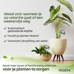 Waterdruppelaar Voor Planten - Irrigatiesysteem- Waterbol - Druppelsysteem - Watergeefsysteem Voor Kamerplanten - Plantenwatergever -6 Stuks - Transparant -Tuingereedschap Winkel 1200x1200 423