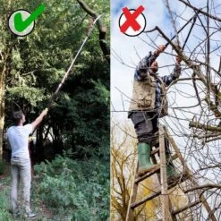 Iceberk Snoeischaar + Snoeizaag (1,45 - 3,70 M) - Telescopische Snoeischaar Voor Het Snoeien Van Bomen En Dichte Struiken Zonder Ladder -Tuingereedschap Winkel 1200x1200 49