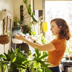 Allsa Mist Verstuiver - Mist Sprayer - Planten Spuit - Continuous Spray - Zwart 13 Allsa Mist Verstuiver - Mist Sprayer - Planten Spuit - Continuous Spray - Zwart -Tuingereedschap Winkel 1200x1200 527