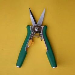 Bloemenschaar- Snoeischaar Recht Green Arrow 6238 -Tuingereedschap Winkel 1200x1200 55