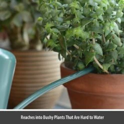 CKB LTD - Gieters - Gieter - Retro - Gietertje - Kleine Gieter Voor Binnen En Buiten - 1 Liter - Groen Plantengieter Tuingieter Bloemengieter Mini Klein Metaal Binnenplantjes Gietertjes Tuingieters Vintage Kamerplanten Buitengieter Binnenshuis -Tuingereedschap Winkel 1200x1200 638