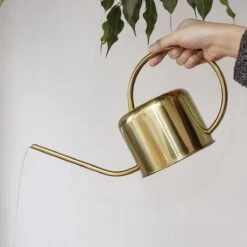 Kikkerland Vintage Gieter - Plantengieter Voor Binnen - Goud - 1,2L - Retro - Metaal -Tuingereedschap Winkel 1200x1200 642