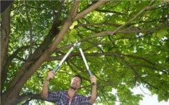 Gardena EasyCut Takkenschaar 68B + Classic Snoeischaar 8754 Display 1stuk 12003-30 20 Gardena EasyCut Takkenschaar 68B + Classic Snoeischaar 8754 Display 1stuk 12003-30 -Tuingereedschap Winkel 1200x749 2