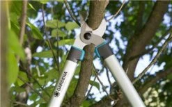 Gardena EasyCut Takkenschaar 68B + Classic Snoeischaar 8754 Display 1stuk 12003-30 17 Gardena EasyCut Takkenschaar 68B + Classic Snoeischaar 8754 Display 1stuk 12003-30 -Tuingereedschap Winkel 1200x749