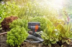 GARDENA - Zwenksproeier AquaZoom Compact - Tuinsproeier - 9 Tot 216 M² -Tuingereedschap Winkel 1200x785 2