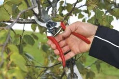 Felco 2 Snoeischaar - Rechtshandig - Max. Knipdiameter 25 Mm - Lengte 215 Mm -Tuingereedschap Winkel 1200x796