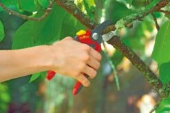 WOLF-Garten Snoeischaar "Premium Plus" RS 4000 - Aambeeld - Max. Knipdiameter 25 Mm - Links- En Rechtshandige - Softinleg Handgreep - Snijhoek 30° - Voor Grote Handen - Vervangbare Messen En Aambeeld 14 WOLF-Garten Snoeischaar "Premium Plus" RS 4000 - Aambeeld - Max. Knipdiameter 25 Mm - Links- En Rechtshandige - Softinleg Handgreep - Snijhoek 30° - Voor Grote Handen - Vervangbare Messen En Aambeeld -Tuingereedschap Winkel 1200x798