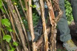 GARDENA - SlimCut Takkenschaar -28mm- Met Hefboommechanisme -Tuingereedschap Winkel 1200x799 11