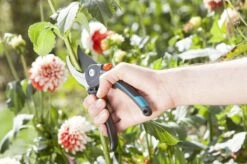 GARDENA Comfort B/M Bypass Snoeischaar - Ø 24mm - Met Sapgeul -Tuingereedschap Winkel 1200x799 15