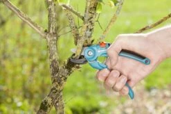 GARDENA Classic Aambeeld Snoeischaar - Ø 18 Mm -Tuingereedschap Winkel 1200x799 18