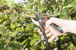 GARDENA - Comfort B/S-XL Bypass - Snoeischaar - Ø 24 Mm - 25 Jaar Garantie -Tuingereedschap Winkel 1200x799 6