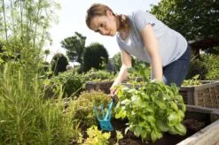 GARDENA Combisystem Tuinhak - Werkbreedte 6,5cm - 25 Jaar Garantie -Tuingereedschap Winkel 1200x799 84