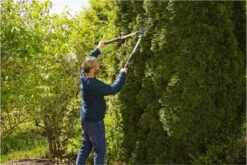 GARDENA TeleCut Heggenschaar - Telescopische Handgrepen Van 70-90 Cm 17 GARDENA TeleCut Heggenschaar - Telescopische Handgrepen Van 70-90 Cm -Tuingereedschap Winkel 1200x800 109