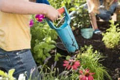 GARDENA Bollenplanter - Diepteaanduiding - Automatische Aardeloslating -Tuingereedschap Winkel 1200x800 112