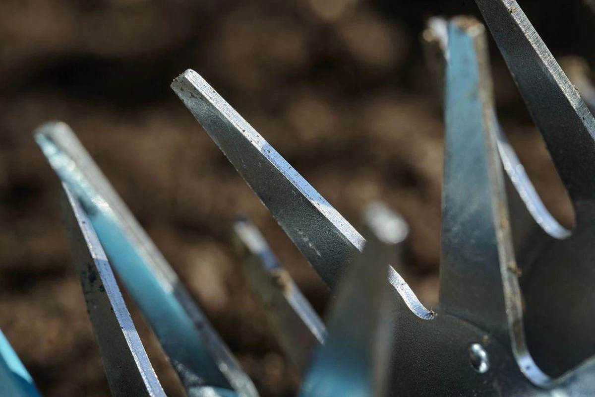 GARDENA Combisystem Tuinfrees - Sterfrees 6 GARDENA Combisystem Tuinfrees - Sterfrees - Afbeelding 4