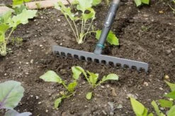 Gardena NatureLine Hark | 36 Cm | FSC 100% - 17106-20 11 Gardena NatureLine Hark | 36 Cm | FSC 100% - 17106-20 -Tuingereedschap Winkel 1200x800 119