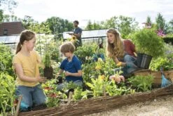 GARDENA Combisystem Bladharkje - Werkbreedte 12 Cm - 25 Jaar Garantie -Tuingereedschap Winkel 1200x800 120