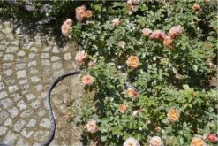 GARDENA Kraanverbindingsstuk Binnenshuis -Tuingereedschap Winkel 1200x800 187