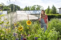 GARDENA - Comfort Broeskop - 5 Straalsoorten - Grijs -Tuingereedschap Winkel 1200x800 203