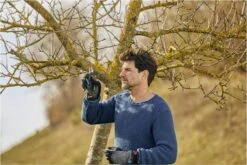 GARDENA - ExpertCut - Snoeischaar - 22 Diameter Tak 29 GARDENA - ExpertCut - Snoeischaar - 22 Diameter Tak -Tuingereedschap Winkel 1200x800 26