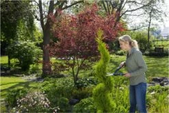 GARDENA PrecisionCut Buxusschaar - Meslengte 18 Cm - Vormsnoeien -Tuingereedschap Winkel 1200x800 28