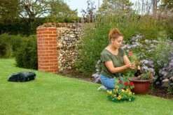 Bosch Indego S+ 500 Robotmaaier - Voor Gazons Tot 500 M2 - Incl. Laadstation En Accessoires - Connected -Tuingereedschap Winkel 1200x800 286